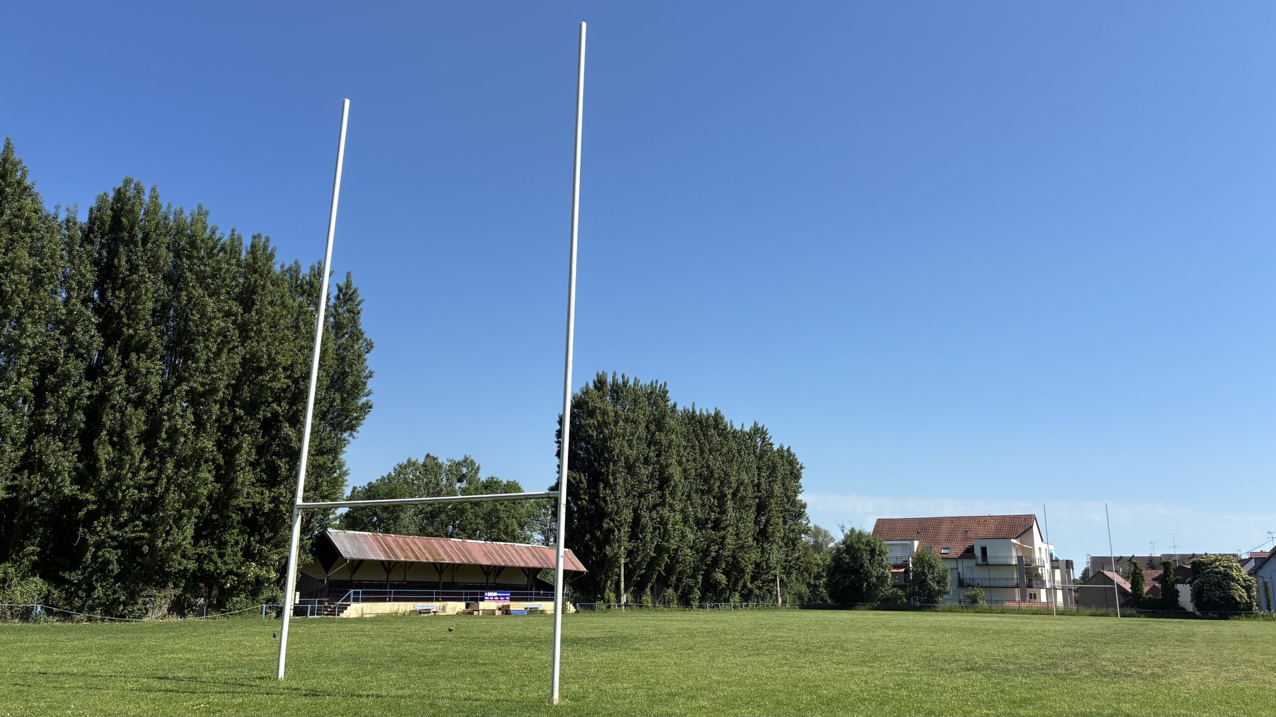 École de rugby